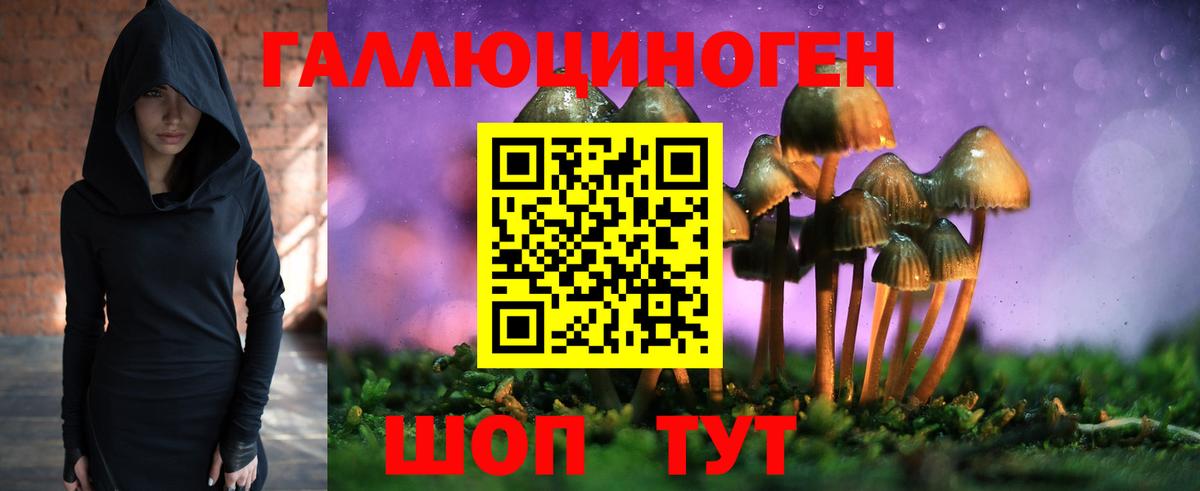 Галлюциногенные грибы MAGIC MUSHROOMS Полевской